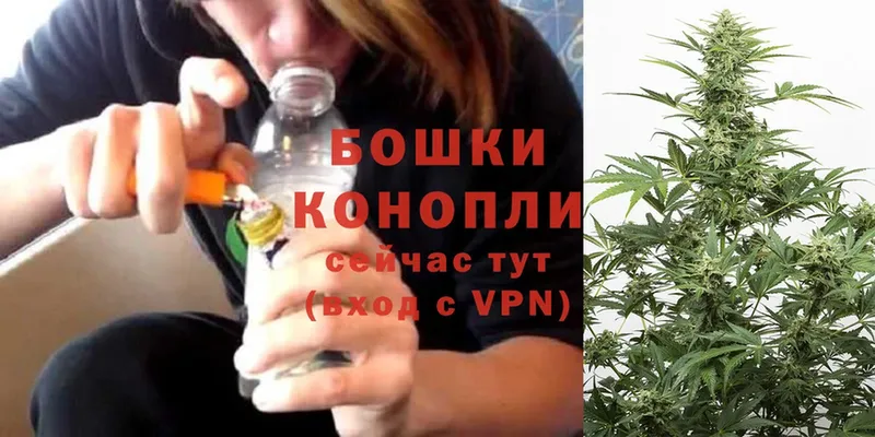 как найти закладки  Сосновка  Каннабис Bruce Banner 